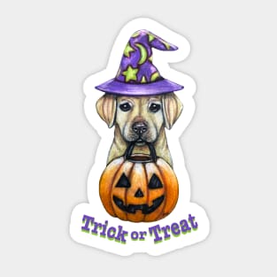 Trick or Treat Pup Sticker